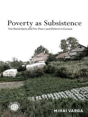 cover image of Poverty as Subsistence
